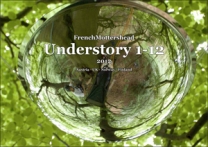 Understory 1-12 (Catalogue)